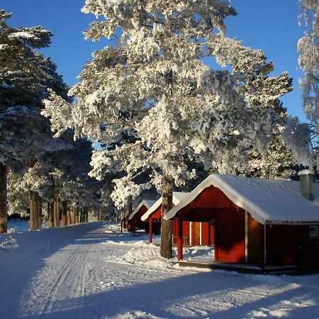 Aelvdalens Camping Dış mekan fotoğraf